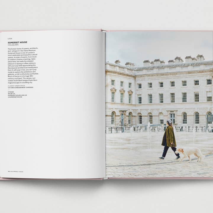 Hoxton Mini Press - Wholesale Pets - Dog-Friendly London5