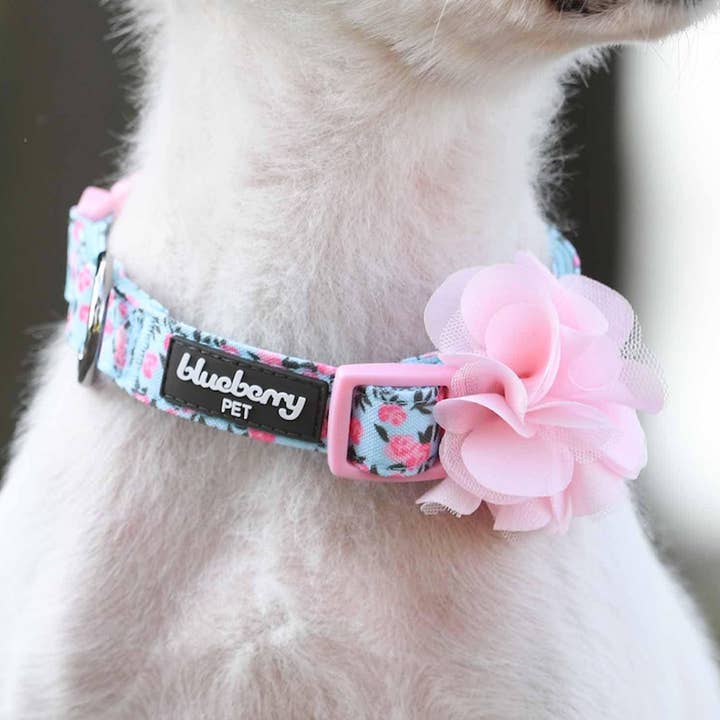 Coleira para Cão Made Well Floral com Acessório de Flor de Chiffon por atacado de Blueberry Pet