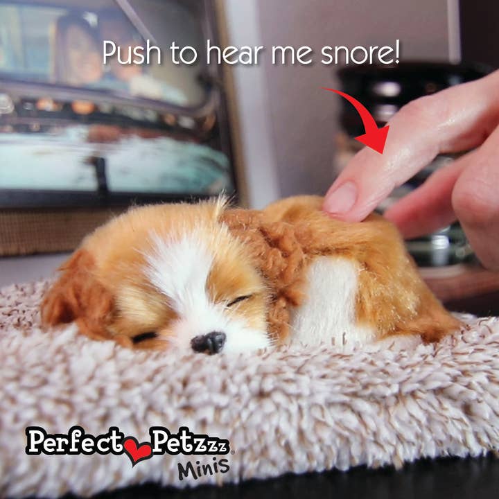 88Unlimited/Perfect Petzzz - Wholesale Stuffed/Plush Toy - Kids & Baby - Mini 01 - Golden Retriever