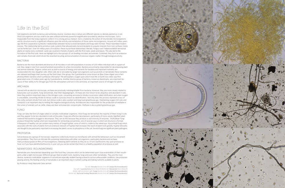 W. W. Norton - Wholesale Home & Garden - Soil to Table: Recipes for Healthy Soil and Food1