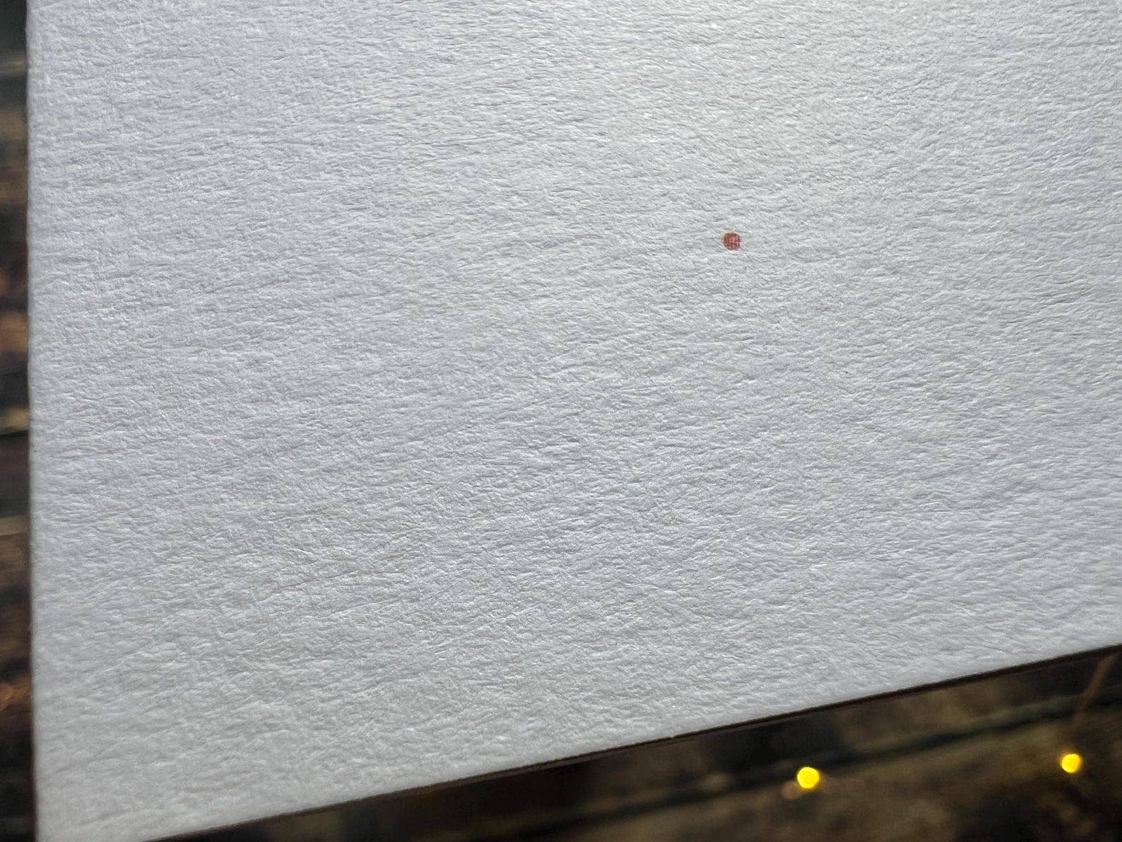 Georgina Doodles - Wholesale Everyday Greeting Card - Eastern Bluebird Greetings Card | Blank card, Bird Art, Watercolour print2