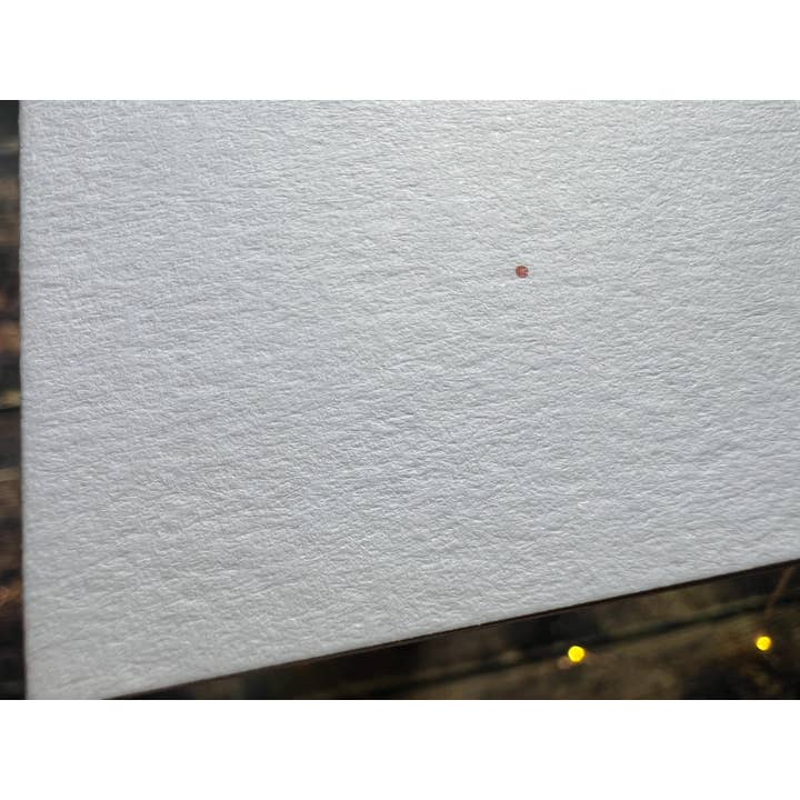 Georgina Doodles - Wholesale Everyday Greeting Card - Eastern Bluebird Greetings Card | Blank card, Bird Art, Watercolour print2