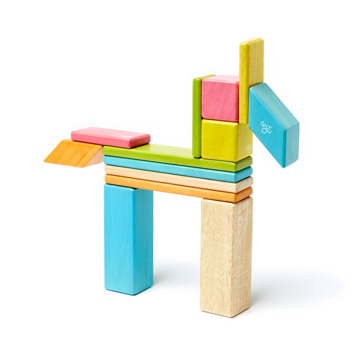 Tegu - Wholesale Building Set - Kids - 14 Piece Magnetic Wooden Block Set2
