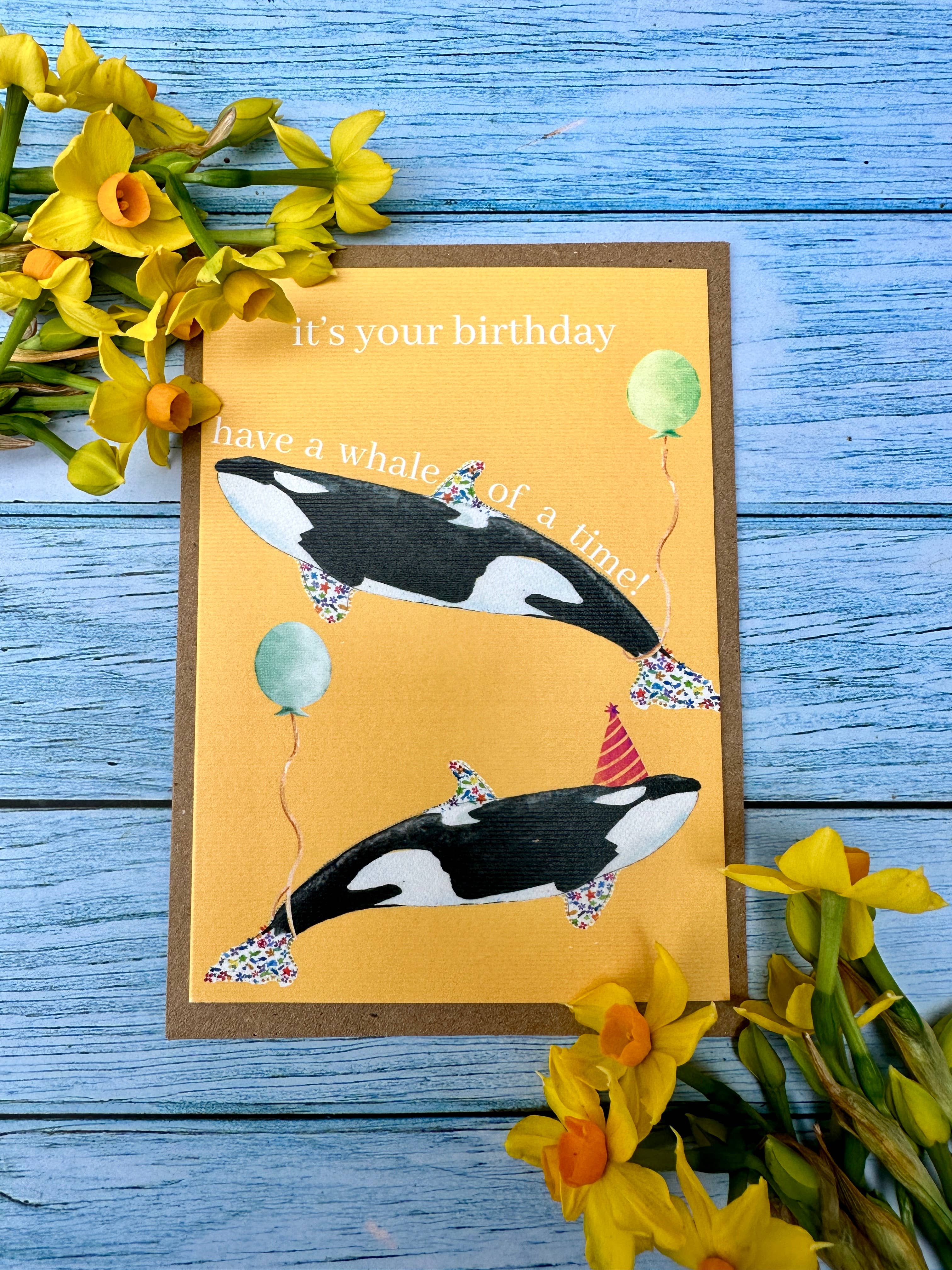 Jen Winnett Eco Artist - Wholesale Birthday Card - Birthday Whale | Orca Eco Friendly Card Cute Colourful Sea1