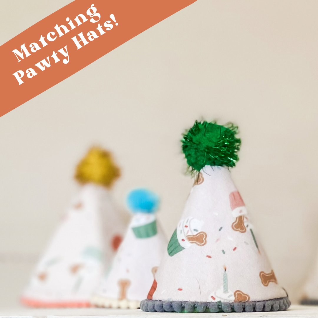 doggish – wholesale Pet bandana – Dog – It’s my Barkday! Tan pupcakes birthday bandana pet accessory3