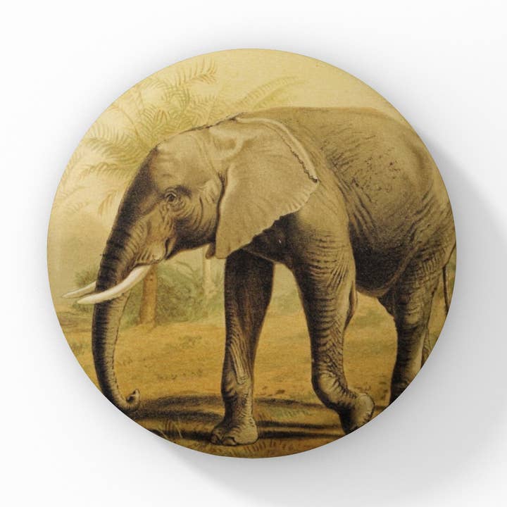 Chapa de Elefante Africano, Llavero de Elefante, Imán para venta al por mayor de NatureCuts