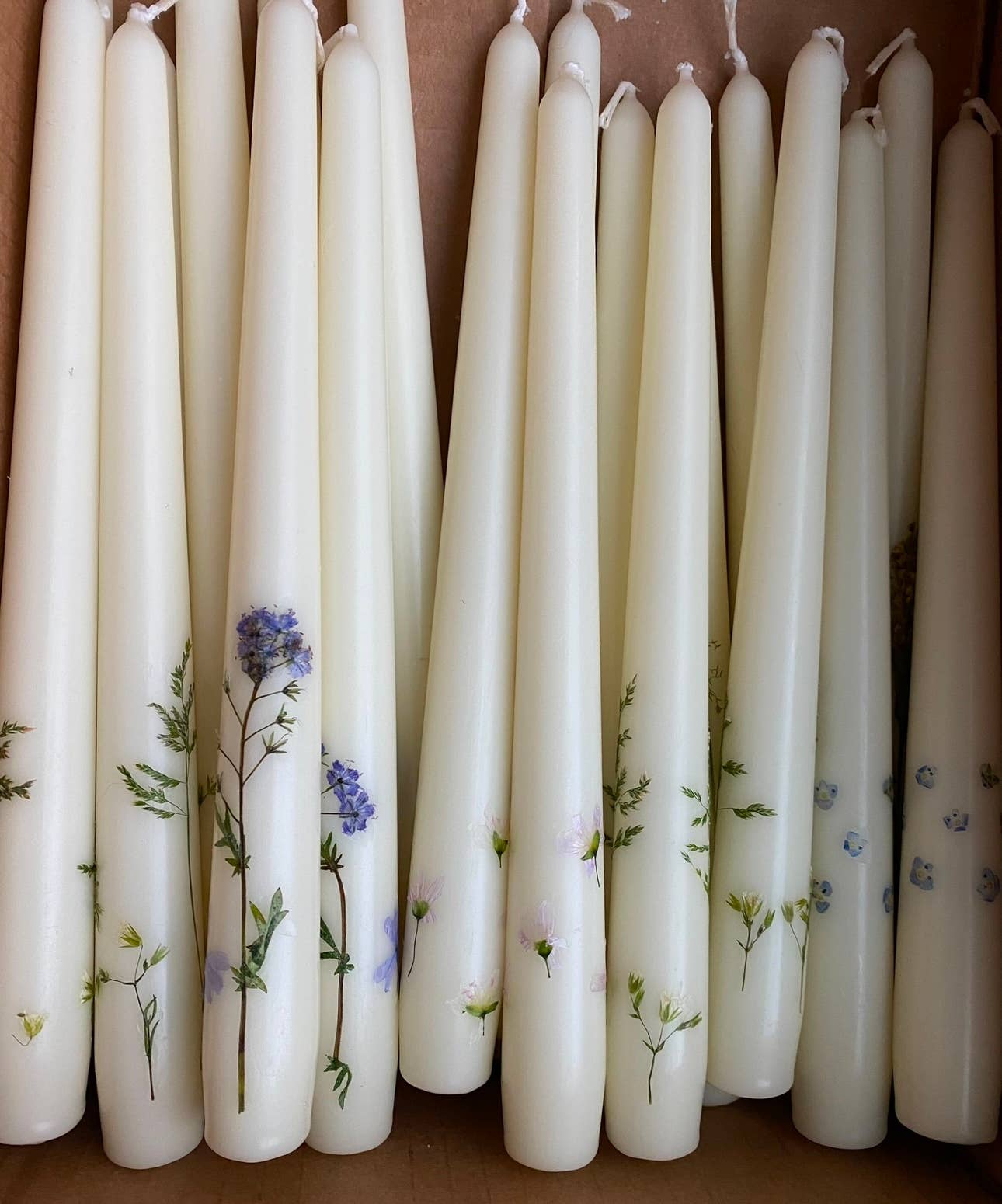 Pressed Petals by Molly - Wholesale Tapered Candle/Candlestick - Pressed Wildflower Taper Candles