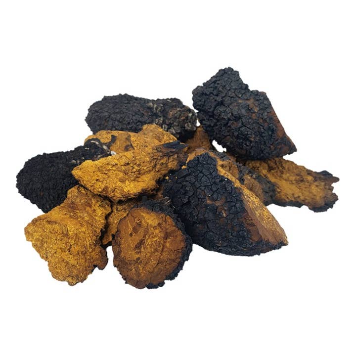 Morceaux de Chaga séchés pour la vente par Mutha Earth