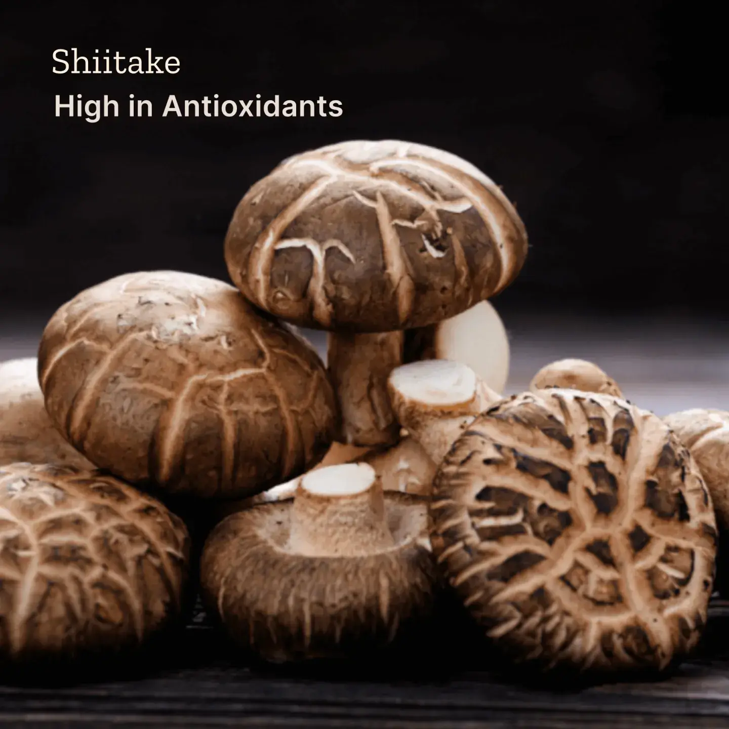 Brodo Broth Company - Wholesale Broth - Organic Mushroom Broth (6 x 1 Cup)3