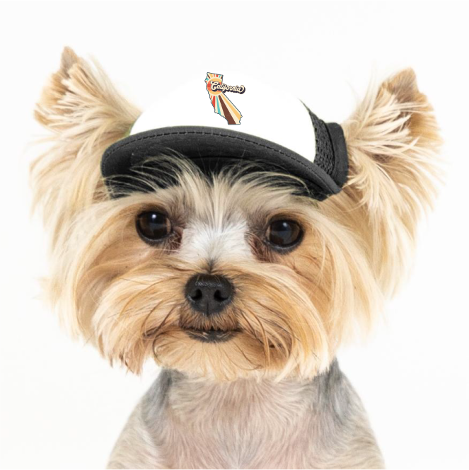 PupLid - Wholesale Pet Hat - Dog - Vintage State | Trucker Hat for Dogs62
