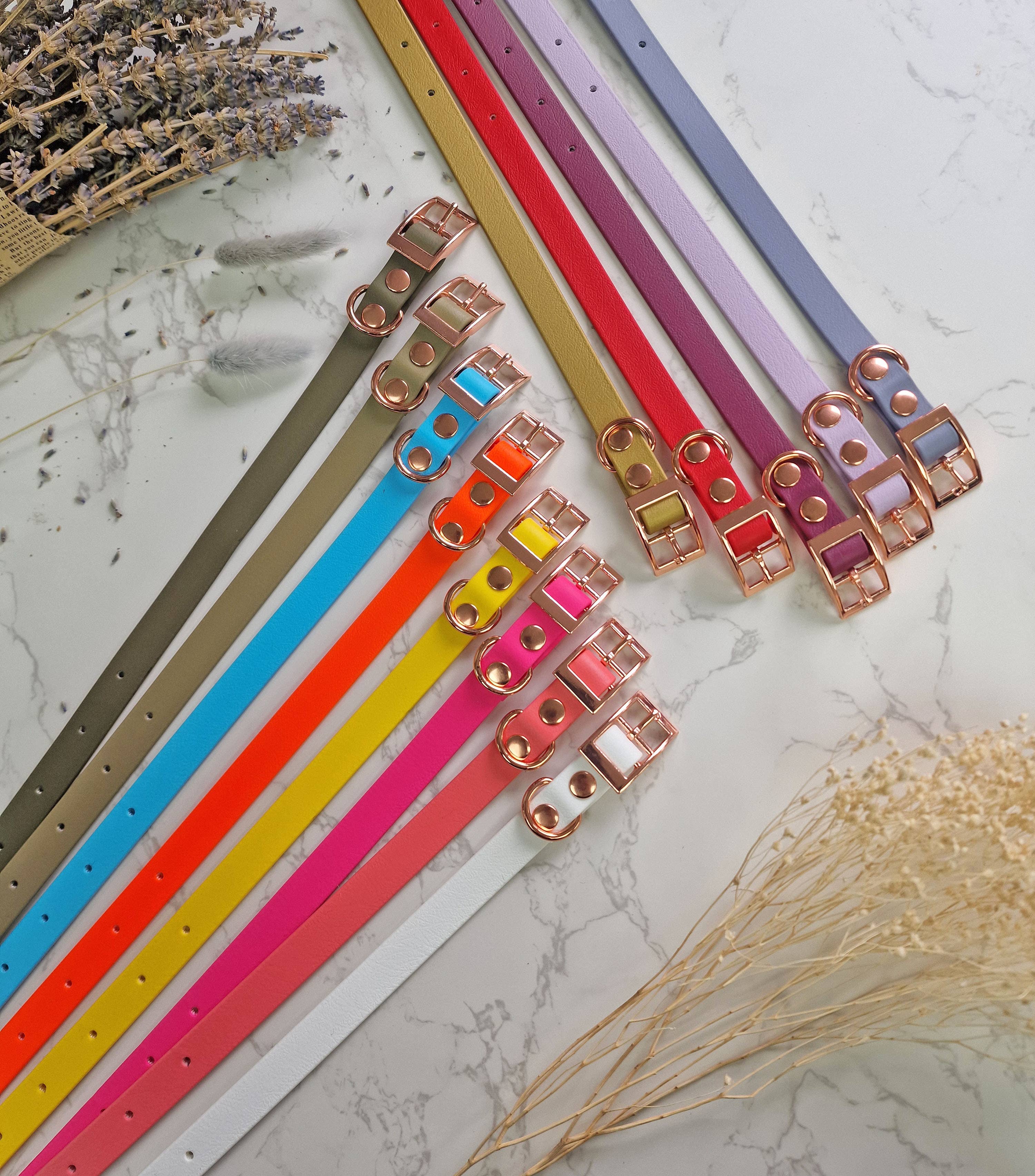 Pet Pooch Boutique – Engroshandel Halsbånd - Hund – Blå Lagune Biothane Hundehalsbånd - Metalbeslag - Håndlavet1