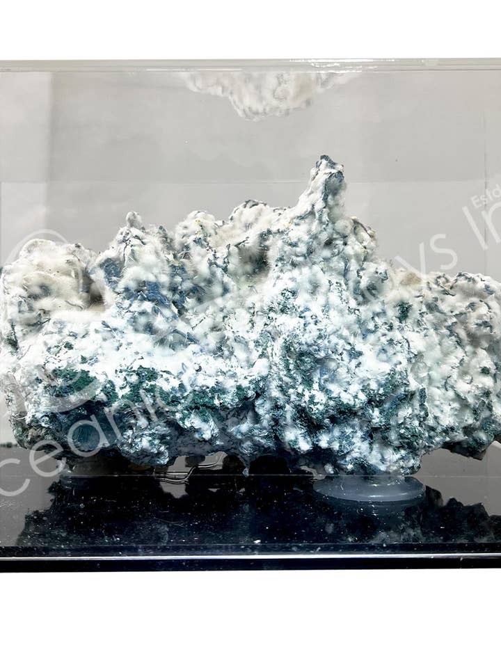 (PC)SPECIMEN – OKENITE ON CHALCEDONY IN ACRYLIC BOX 10" for wholesale by Oceanic Linkways Inc