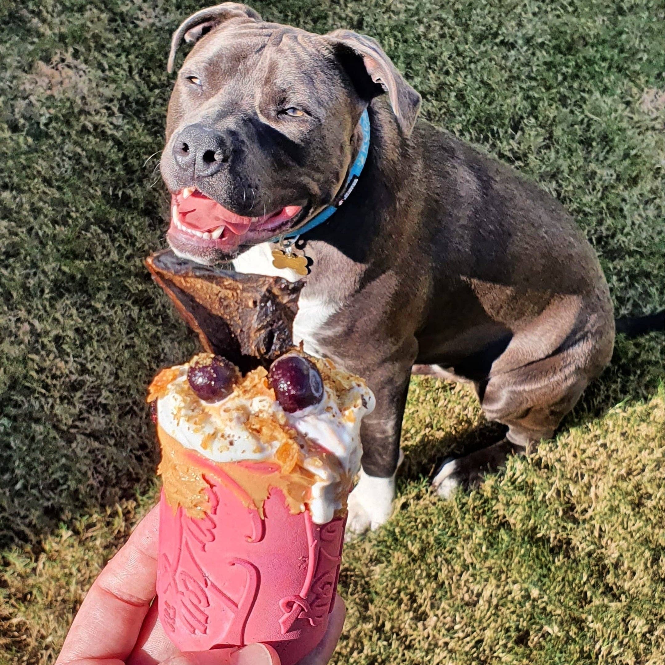 Rover Pet Products - Wholesale Pet chew toy – Dog - Puppy Can Toy - for soft gums and teething puppies.10