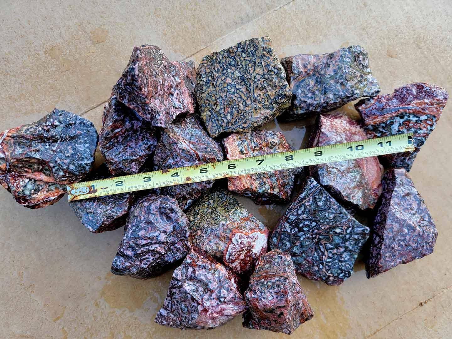 Lapidary Central – Pedra/cristal espiritual por atacado – Amostra Aleatória de Riólito Pele de Leopardo Mexicano em Bruto!8