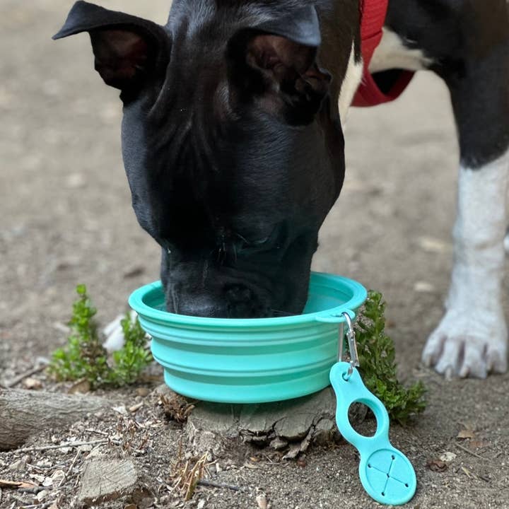 Béa Métier - Wholesale Pet Bowl - Cat/Dog - Collapsible Dog Bowls1