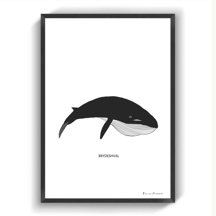 Brydeswhale for wholesale by IMotive