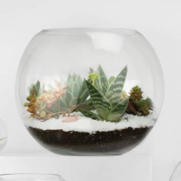 3,5" Öppning - Glasbubbla Vas (H-5" x D-6") för wholesale av Galore Home