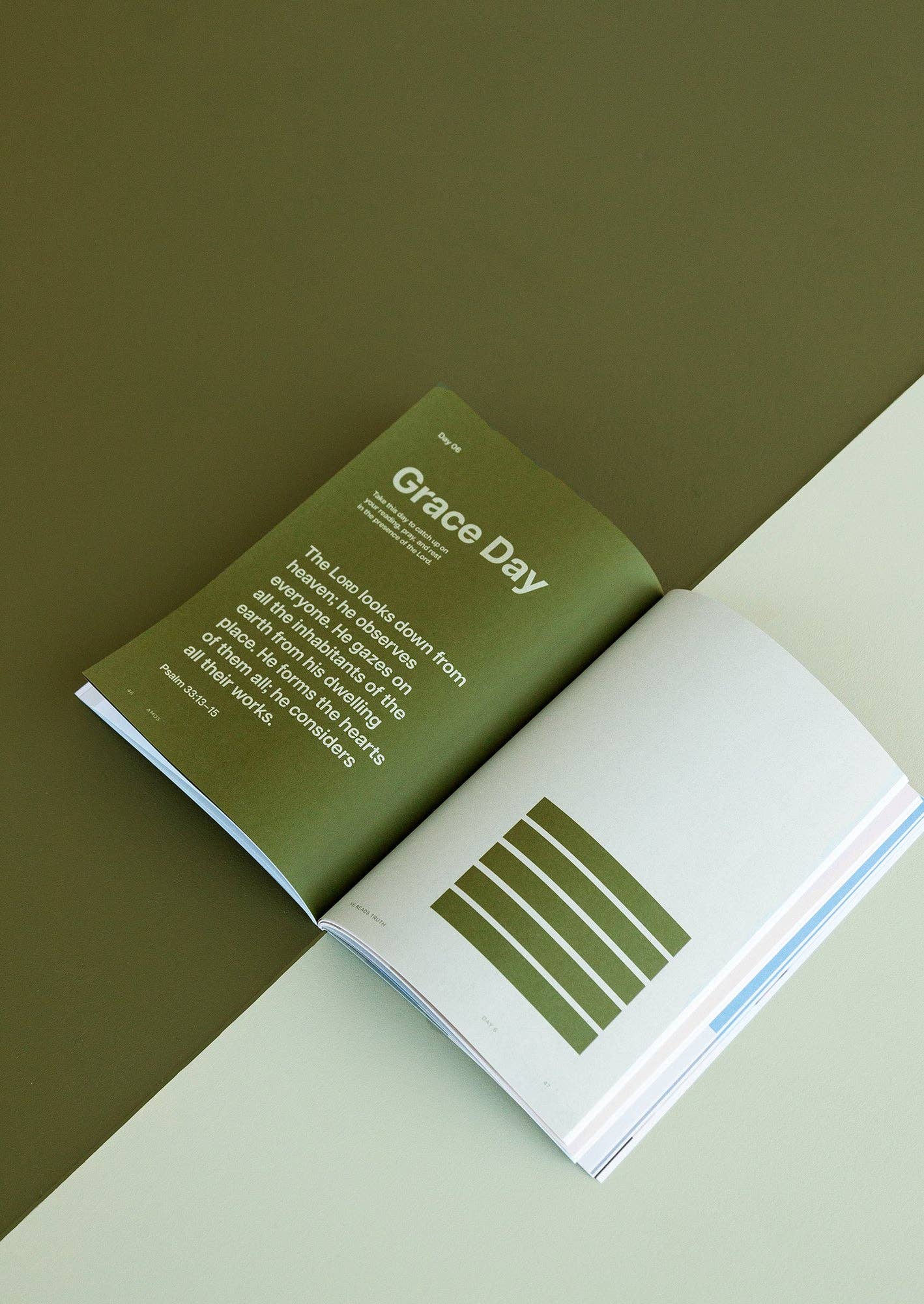 She Reads Truth - Wholesale Religion Book - Amos Men's Reading Guide3