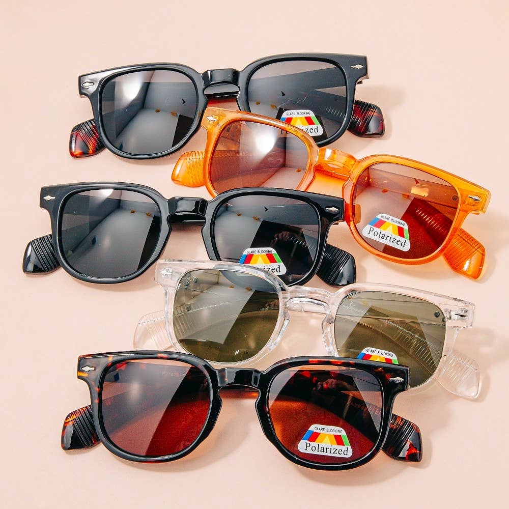 ASSORTED Acetate Frame Polarized Sunglasses Set for wholesale on Faire0