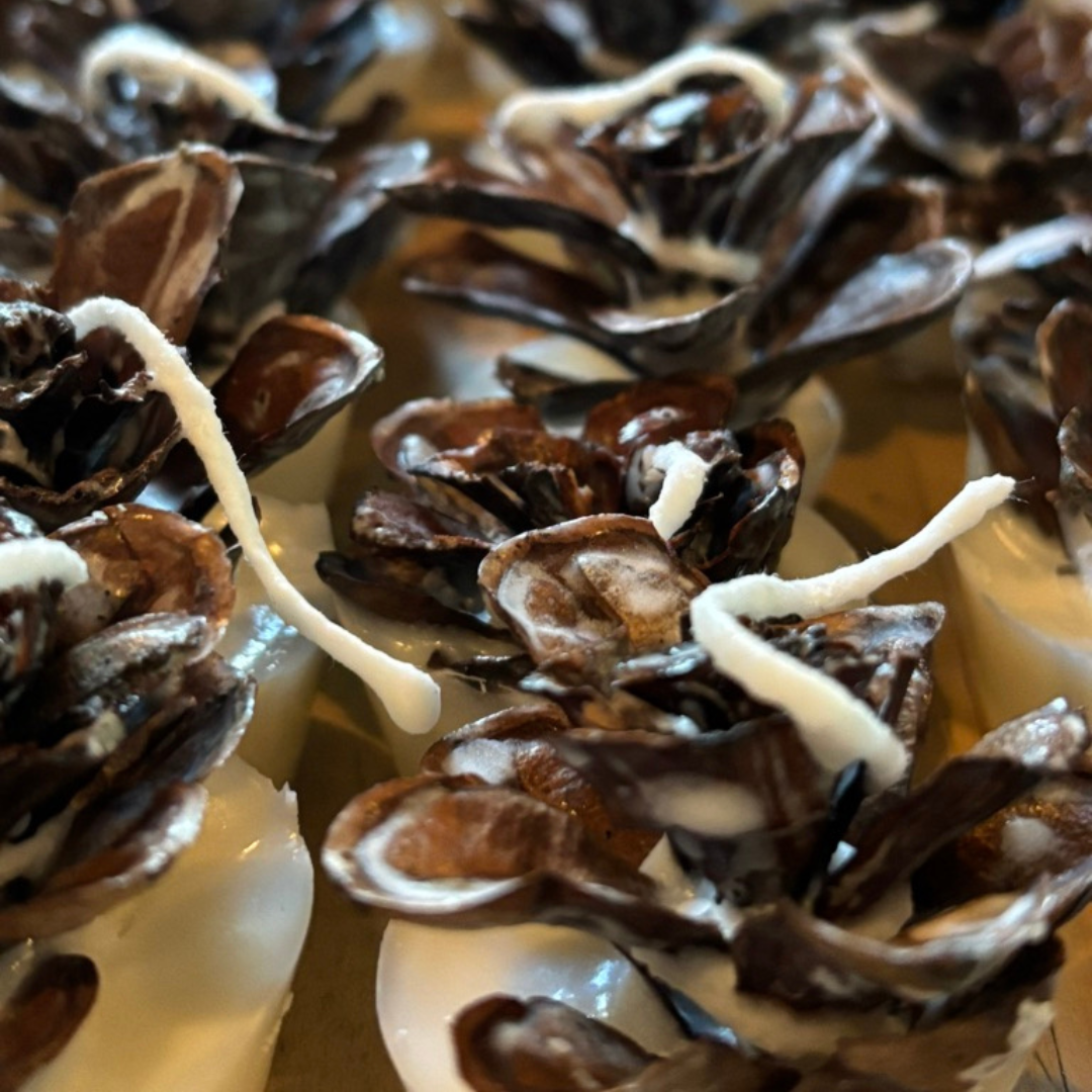 Mana Market Co. - Vente Cadeaux pour invités - Pommes de pin allume-feu ~ Le cadeau rustique parfait pour une fête3