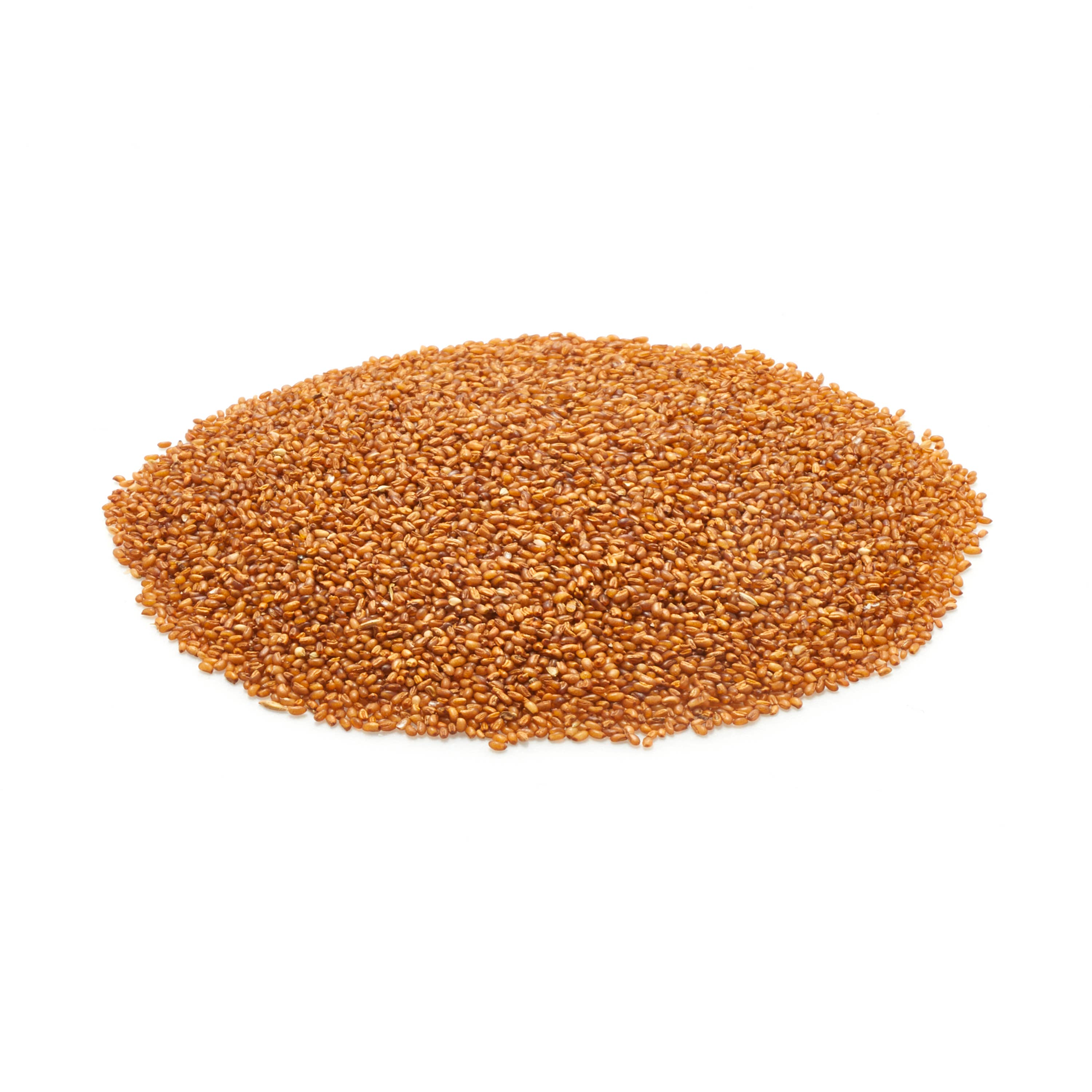 Yupik - Wholesale Seeds/Kernels - Yupik Teff Seeds, Wheat Alternative, Vegan, Gluten-Free2