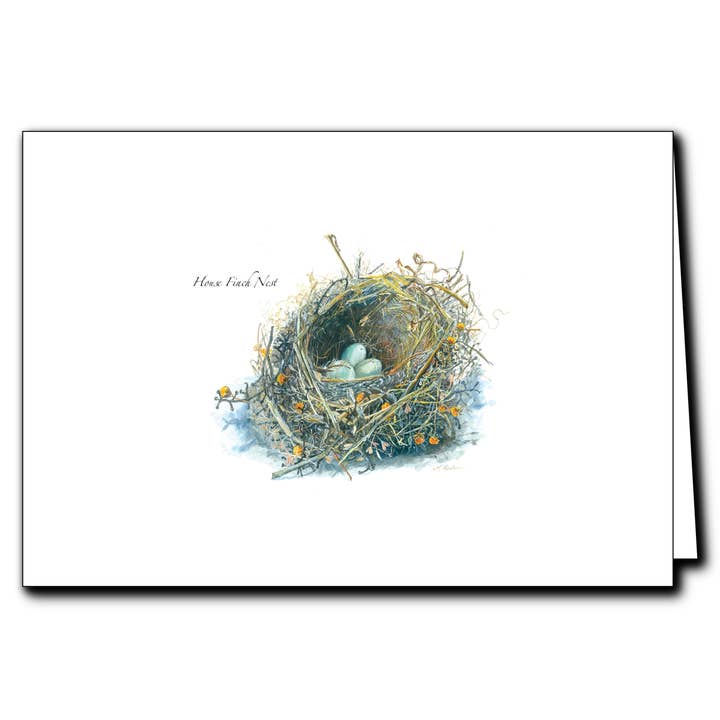 Earth Sky + Water - Wholesale Everyday Greeting Card - House Finch Nest