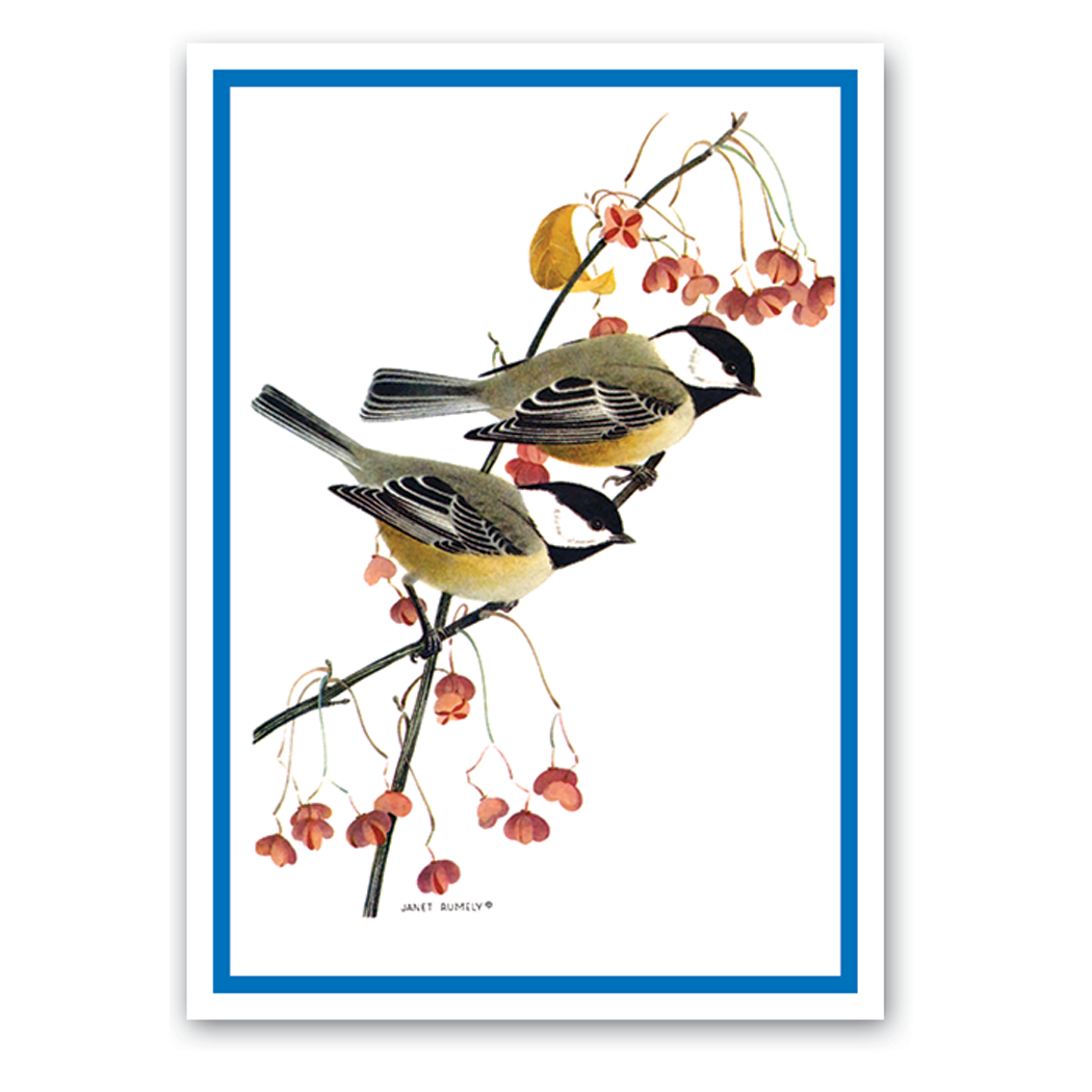 American Artists Group - Wholesale Valentine's Day Card - Chickadees on branches - Valentines Day Card0