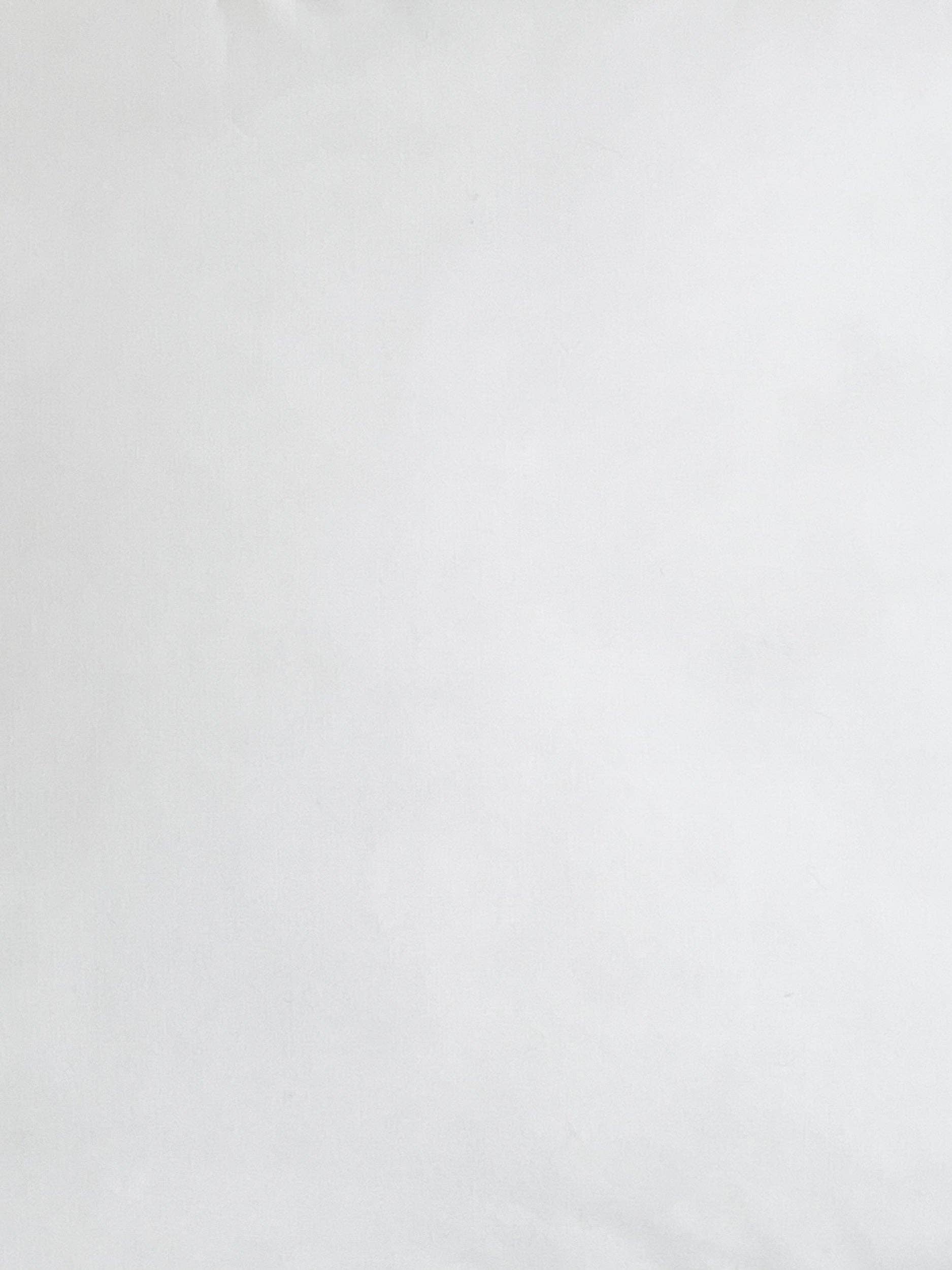 Anaya Home - Wholesale Pillow Insert - Dutch Euro Pillow Insert 28x362