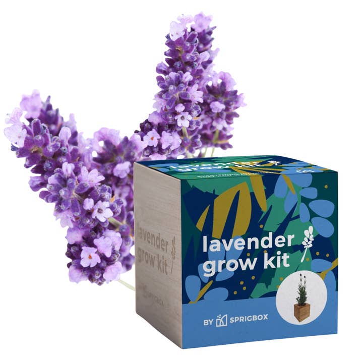 Sprigbox - Wholesale Planter Box - Grow Kits | Bestseller POS Display | Grow Plants from Seed5