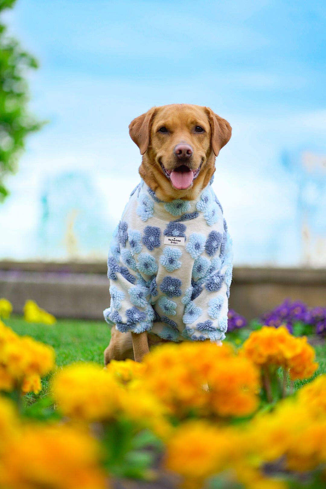 The Paw Print Boutique - Wholesale Pet jumper – Dog - The Bluebell Blue Floral Fleece3