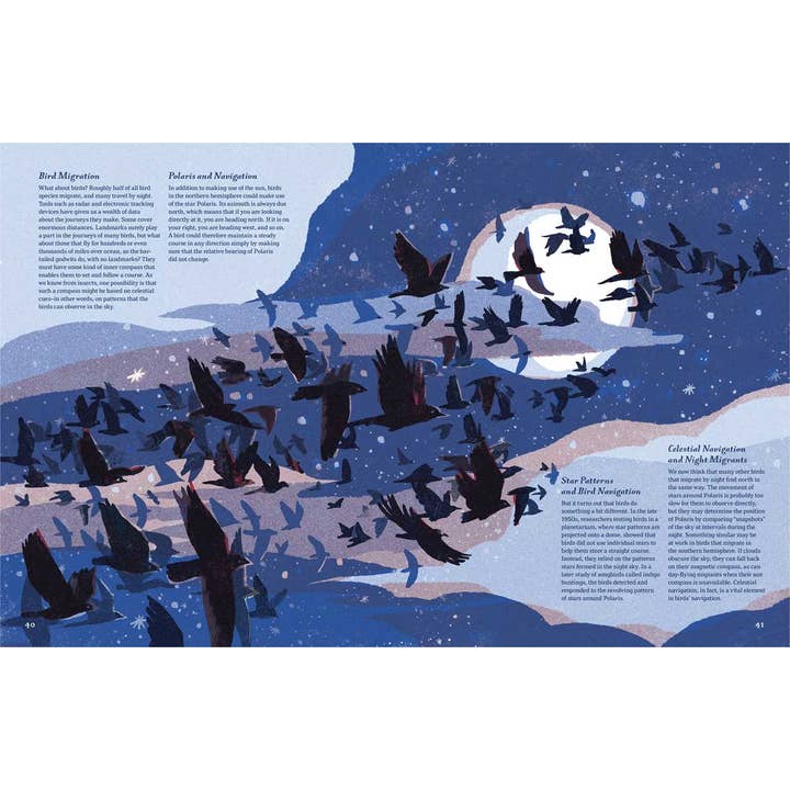 Simon & Schuster - Wholesale Nature & Outdoors - Supernavigators by David Barrie5