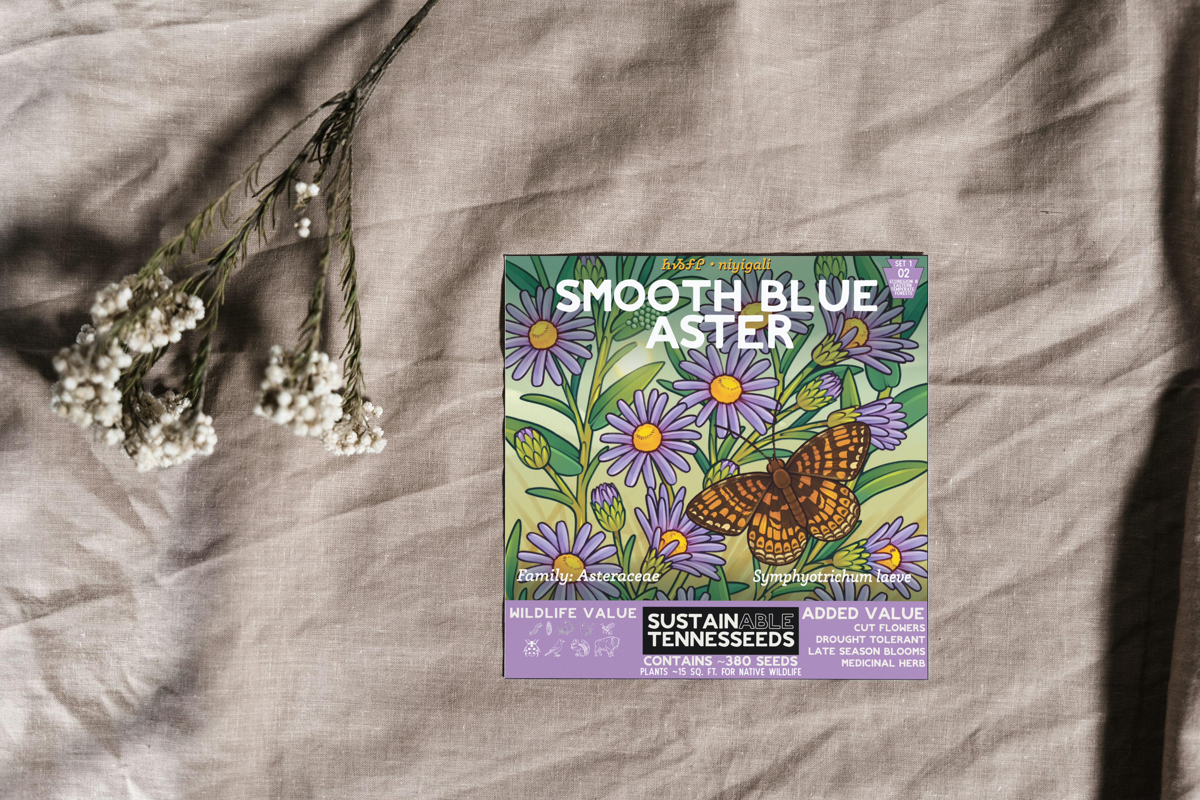 Plant for a Change – Engroshandel Plantefrø – Glathovedet Asters4