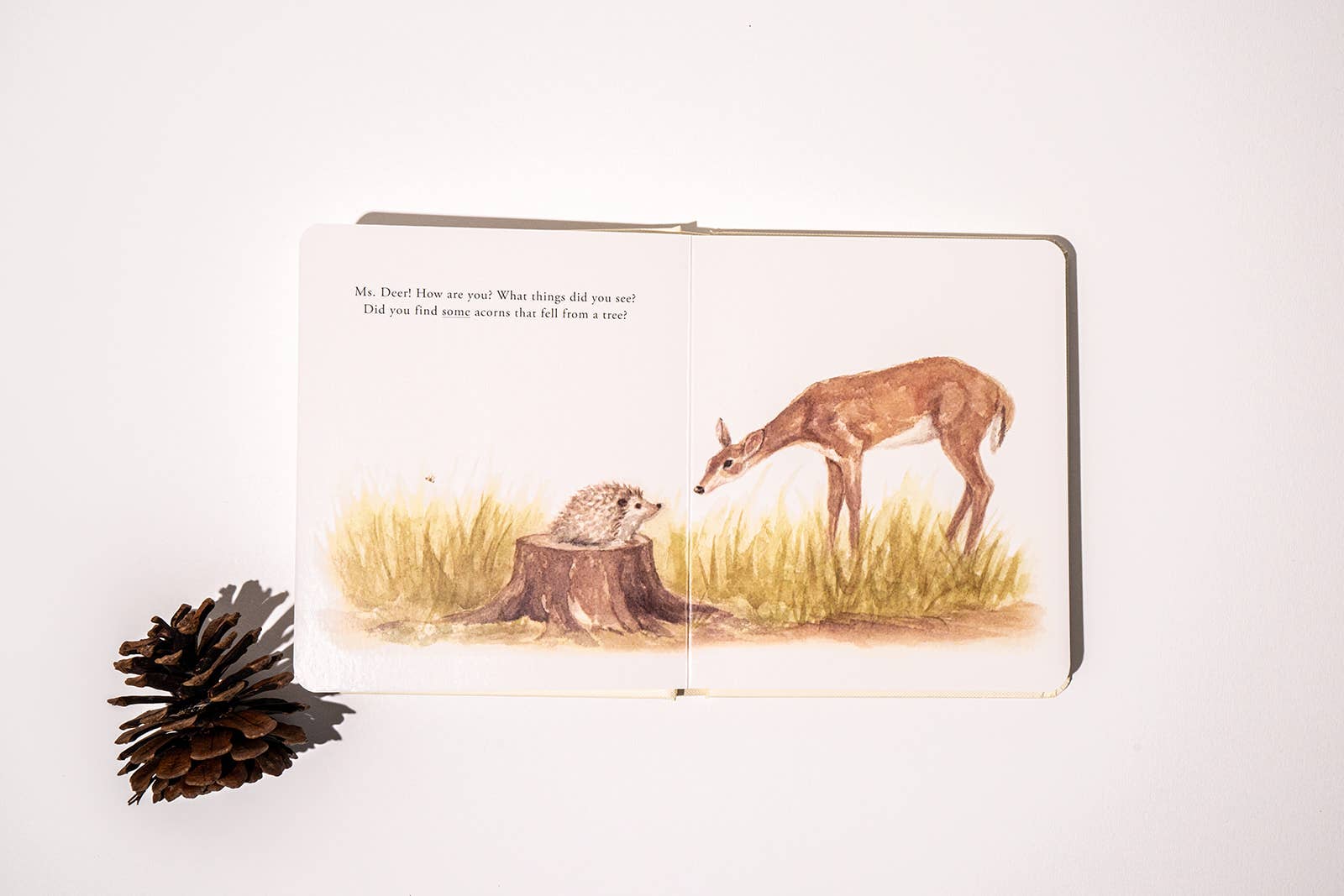 Paige Tate & Co. - Vente Livre pour bébés et tout-petits (jusqu'à 2 ans) - Notre coffret de livres cartonnés "Nos petites aventures" pour enfants9