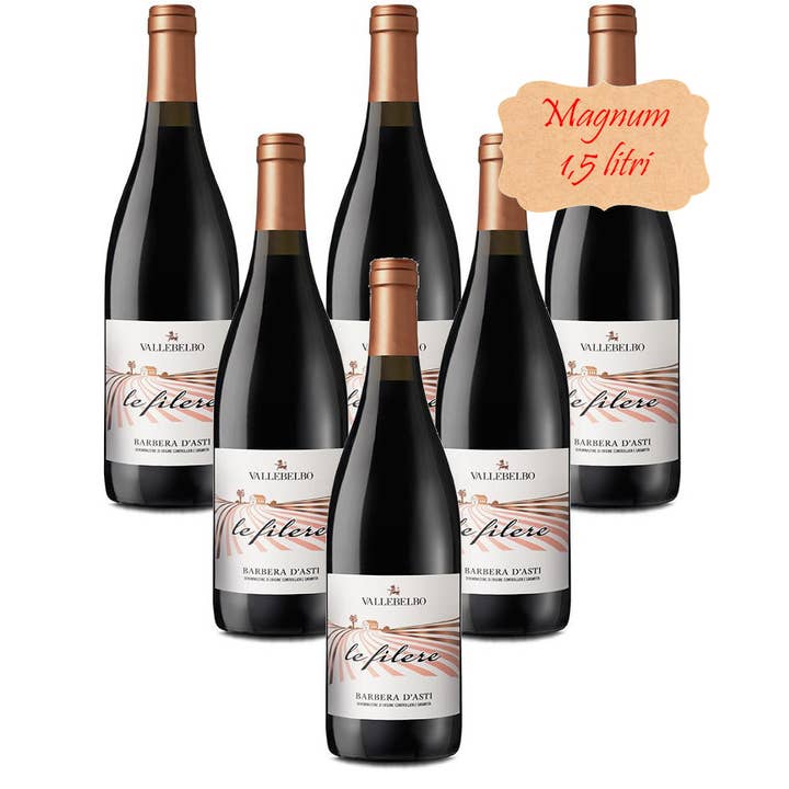 Metina SAS - Wholesale Rode wijn - Le Filere Barbera d'Asti DOCG rode wijn3