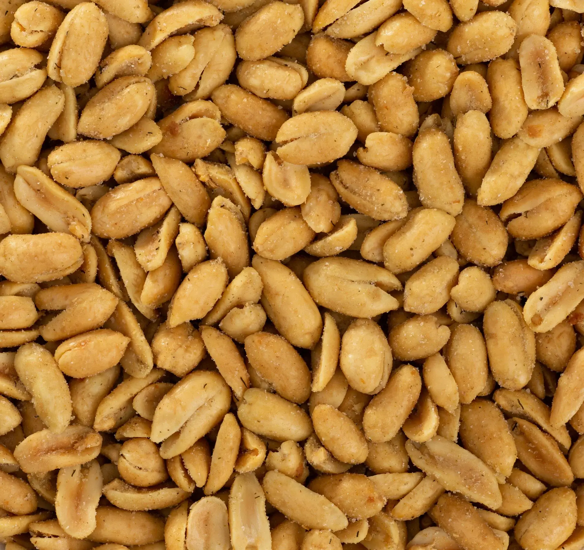 Belmont Peanuts - Wholesale Nuts - Dill Pickle Virginia Peanuts1