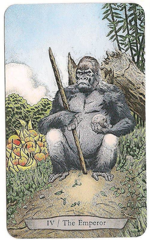 Cardshouse – Großhandel Tarot-Karten – Tiertotem-Tarotkarten Llewellyn3