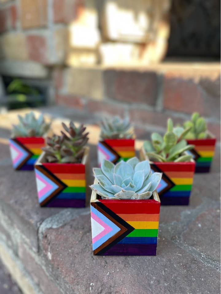 Pride Planter for wholesale by The LA Garden
