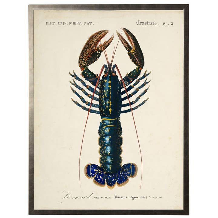 Framed vintage lobster bookplate on distressed background E for wholesale by Antique Curiosities Inc