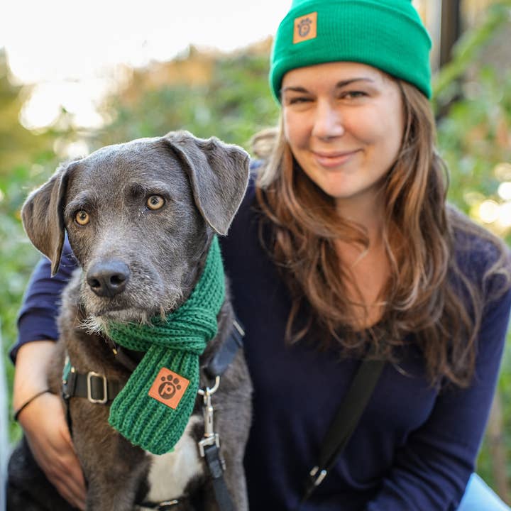 Pawsbury Lane - Vendita all'ingrosso Sciarpa - Cani e gatti - Sciarpa Invernale per Proprietario e Cane - Verde Smeraldo
