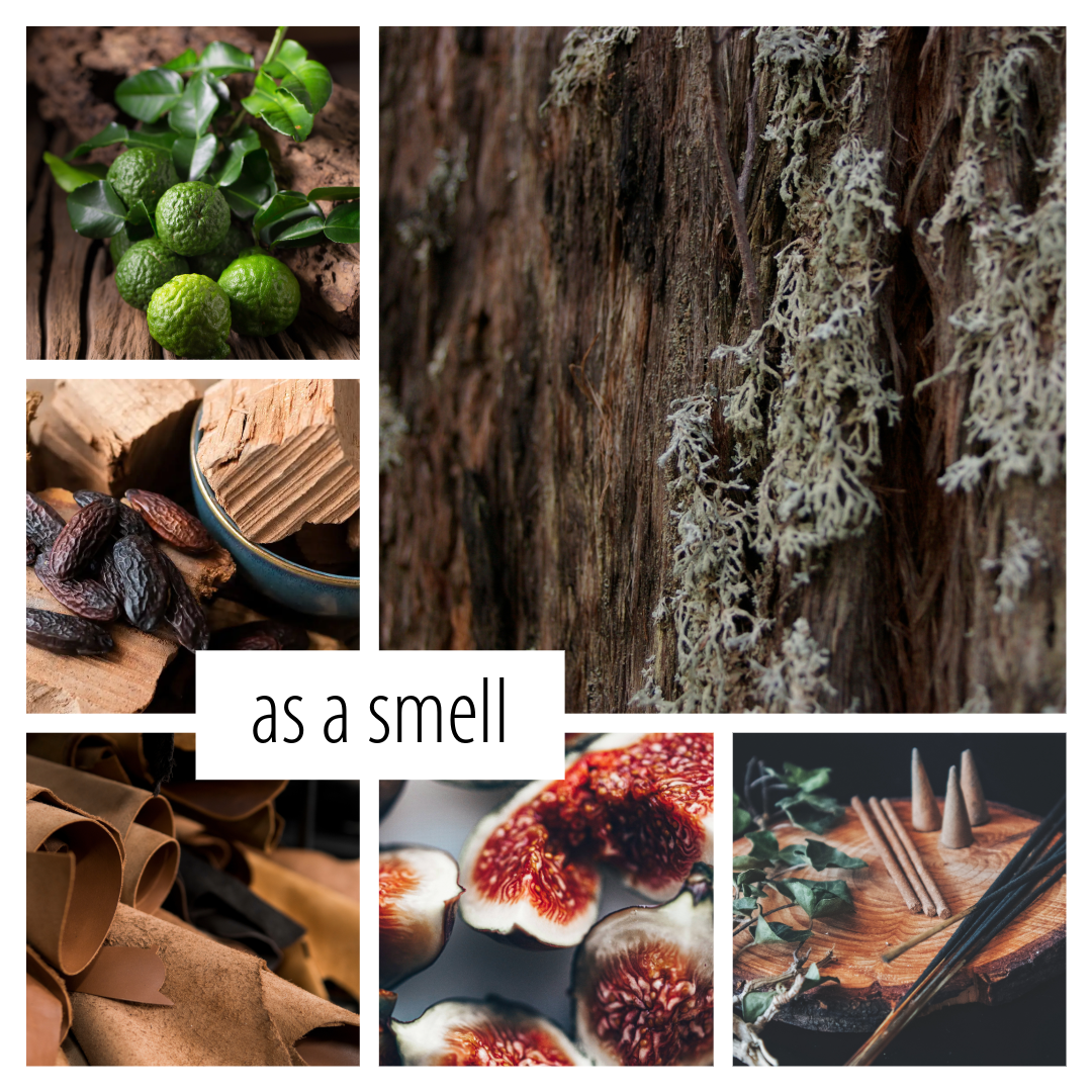 REMOVED BRAND - Wholesale Jar/Filled Candle - Dark Academia- a bookish inspired soy candle1