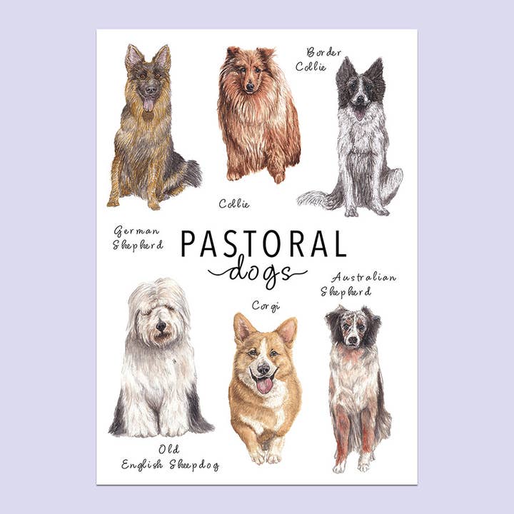 Pastoral Dogs A5 Print for wholesale by Lucy Locks Art