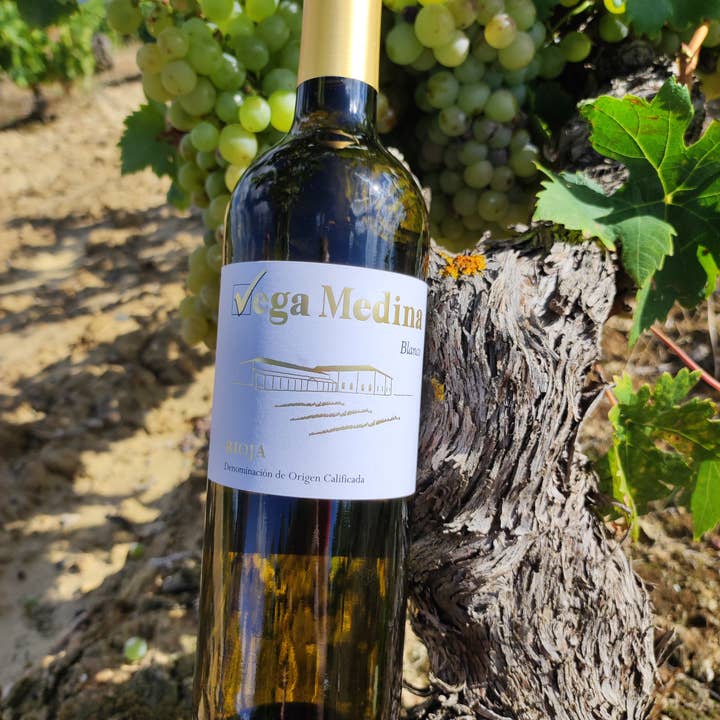 Viñedos y Bodegas Lyng - Venta al por mayor Vino blanco - Vino blanco D.O.Ca. Rioja Vega Medina