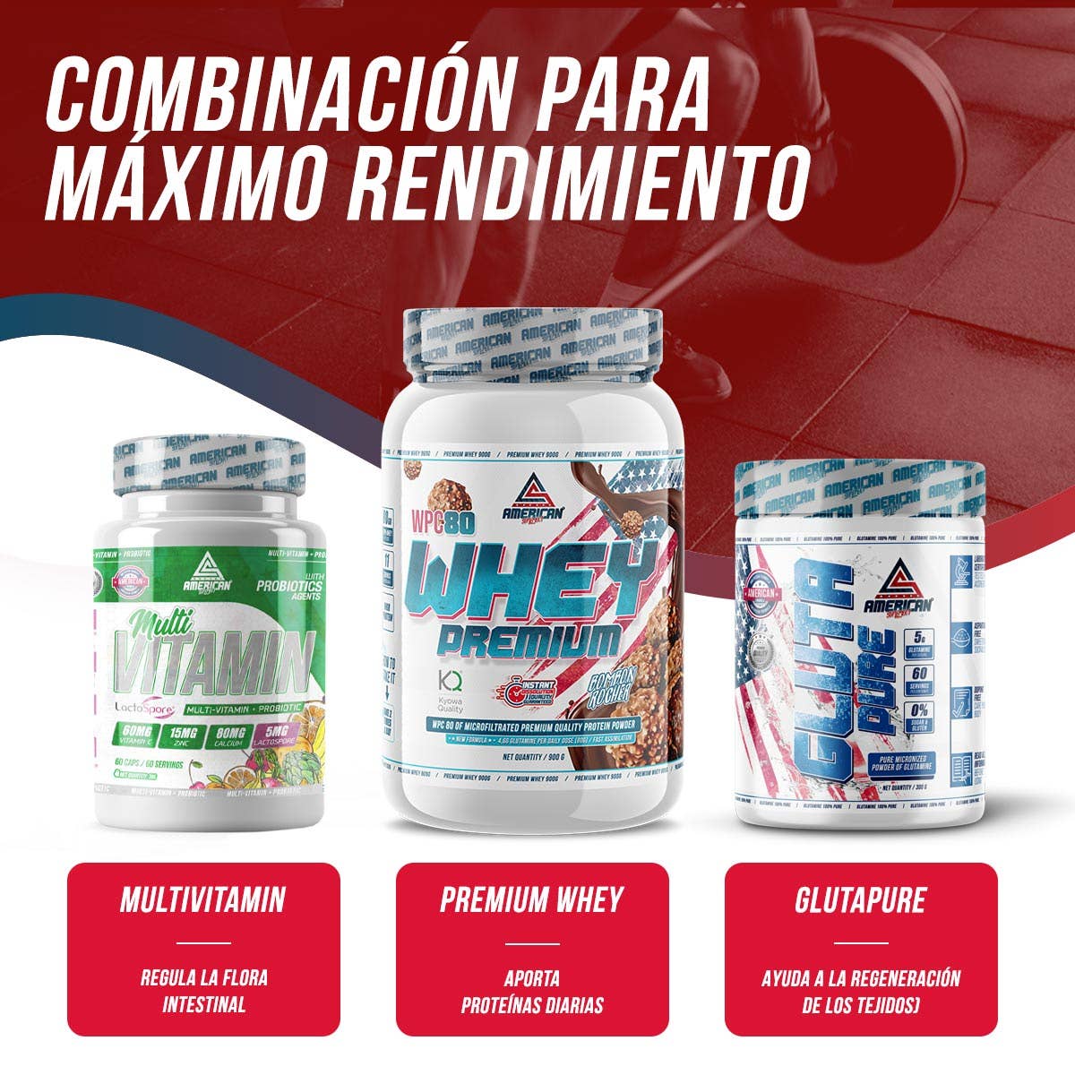 AMERICAN SUPLEMENT S.L. – wholesale Oralt tillskott/Vitamin – American Supplement | Multivitaminkombo + probiotika 60 kapslar4