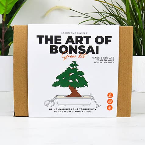 The Art Of Bonsai - Grow Kit for wholesale by Gift Republic