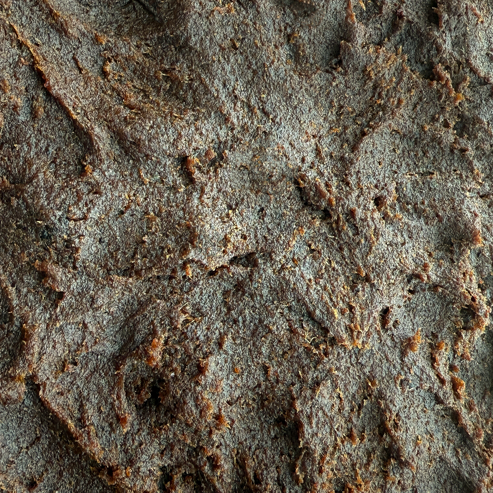 The Nut Garden, Sweetables, Utah Truffles - Wholesale Dried/Dehydrated Fruit - Bulk Date Paste 50lbs2