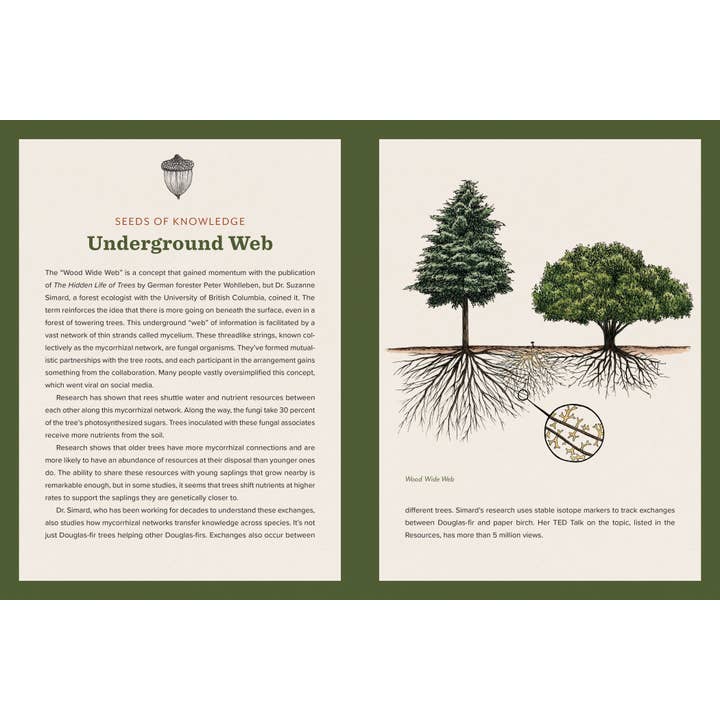 Mountaineers Books – wholesale Natur- och friluftsbok – Knowing the Trees – En fängslande guide till skogens livscykel8