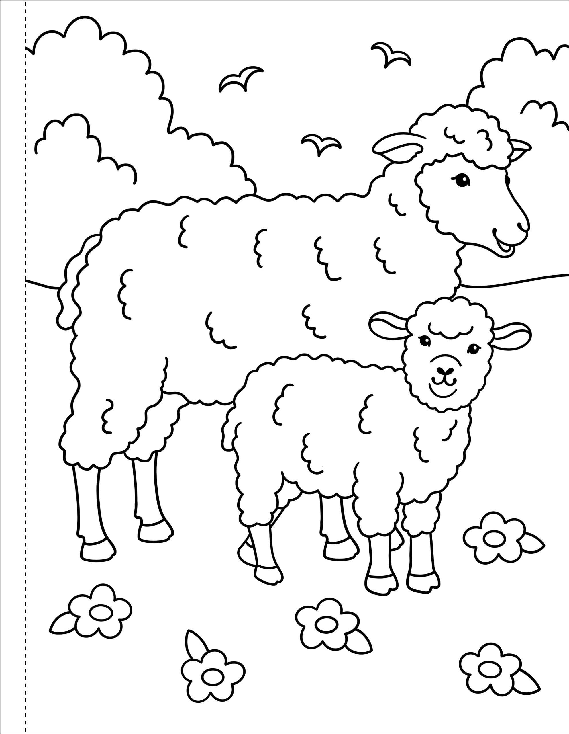 Peter Pauper Press - Wholesale Coloring & Activity Book - Kids & Baby - My First Coloring Book! On the Farm1