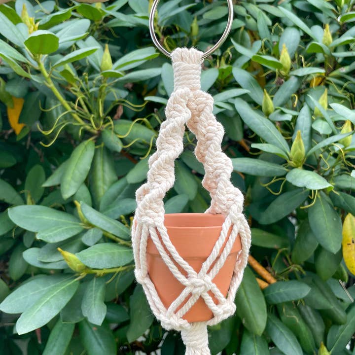 Knotty Mama Studios - Wholesale Hanging Planter - Mini Plant Hanger