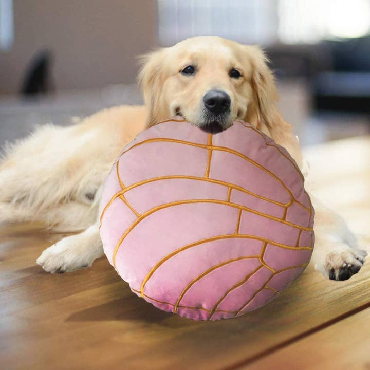 Abound Lifestyle - Wholesale Throw/Decorative Pillow - Concha Bread Decorative Throw Pillow3