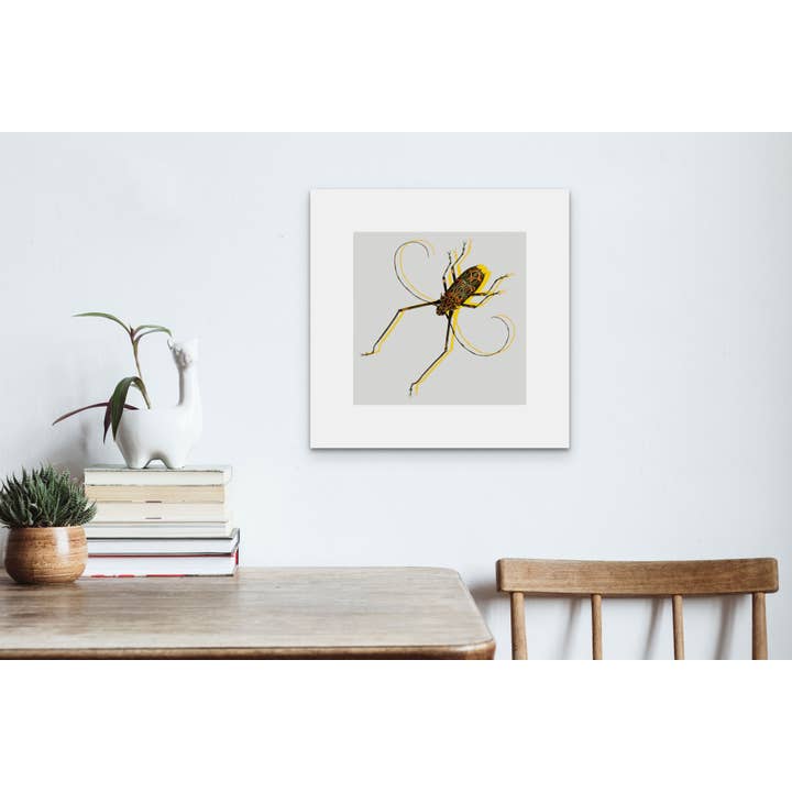 Mustachioed Insektmonteret kunsttryk: Kvalitet Giclée Print for engroshandel hos 'Alkemest